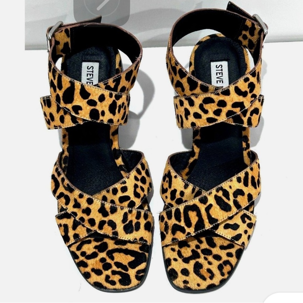 Steve Madden